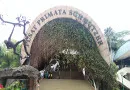 Pusat Primata Schmutzer Kebun Binatang Ragunan Jakarta