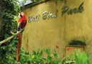 Mengenal Spesies Burung Di Taman Burung Bali Bird Park